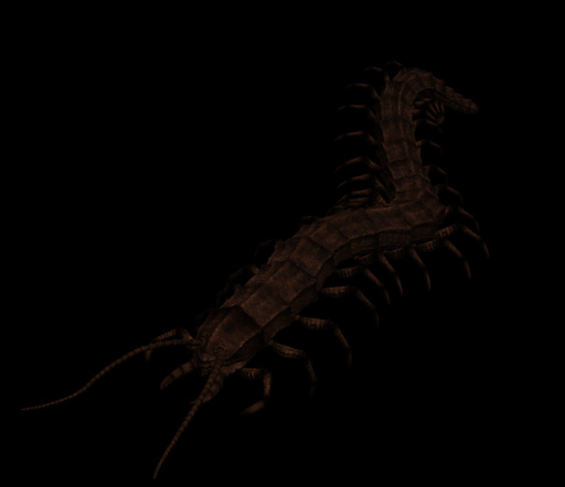 centipede_0820_color.jpg